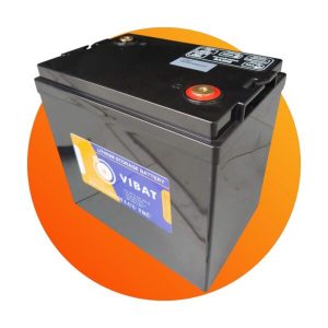 Pin xe golf-cart BS202